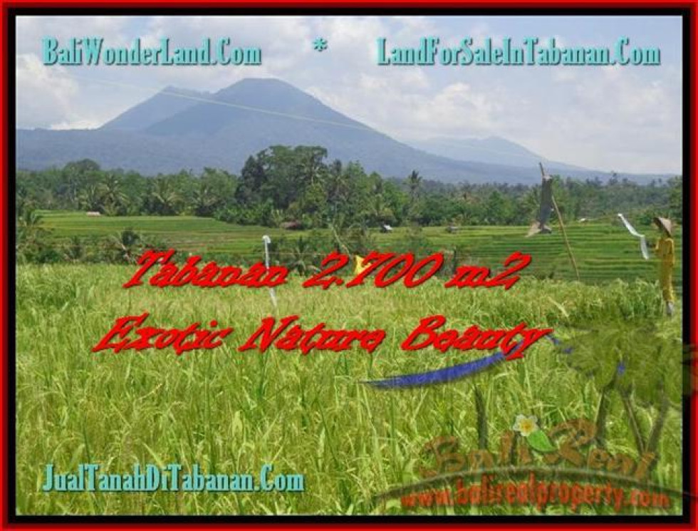 Magnificent PROPERTY LAND IN TABANAN FOR SALE TJTB175
