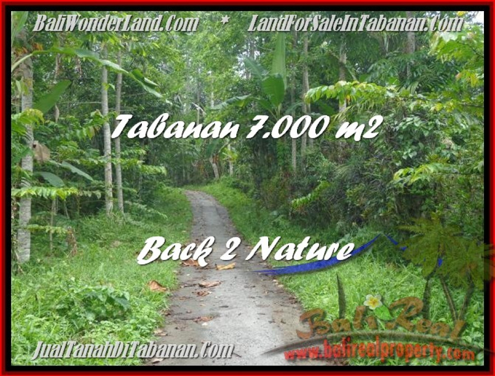 Magnificent LAND SALE IN Tabanan Penebel BALI TJTB176