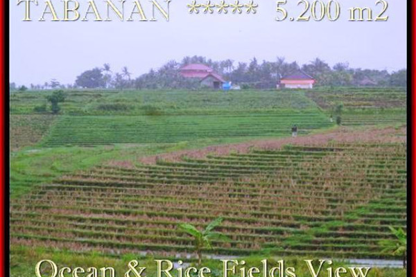 Exotic PROPERTY 5.200 m2 LAND IN TABANAN BALI FOR SALE TJTB185