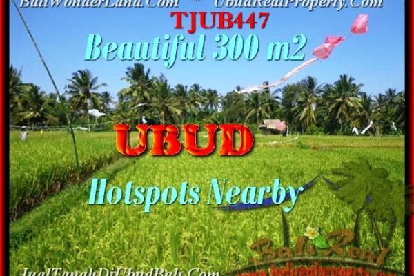 FOR SALE Exotic PROPERTY 300 m2 LAND IN UBUD TJUB447