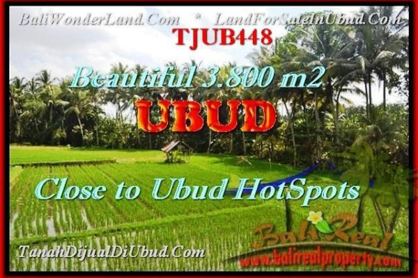 Affordable PROPERTY 3.800 m2 LAND SALE IN UBUD TJUB448