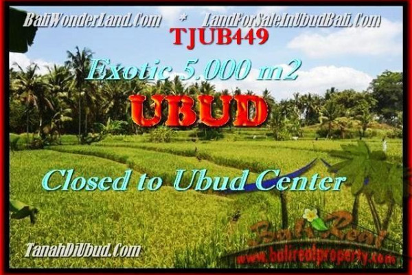 Beautiful LAND FOR SALE IN Sentral Ubud BALI TJUB449