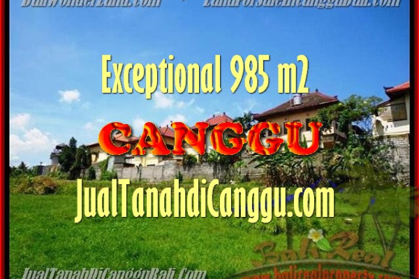 Exotic LAND IN Canggu Pererenan FOR SALE