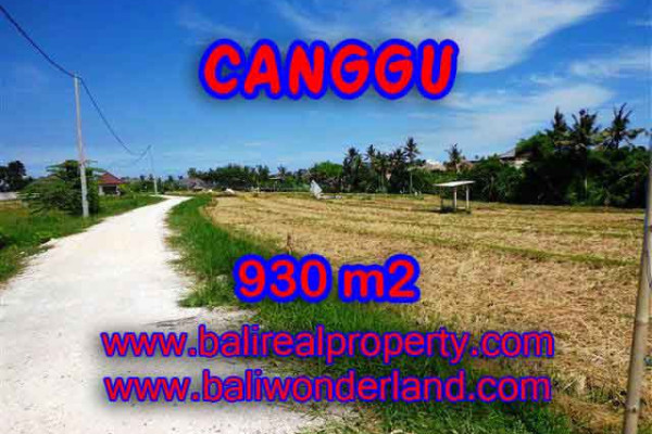 Exotic LAND IN Canggu Pererenan FOR SALE TJCG146