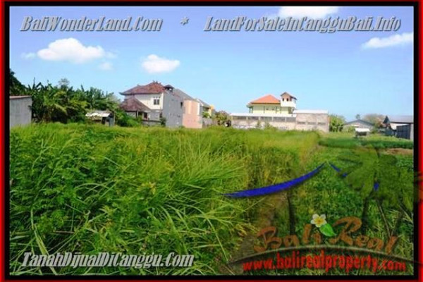 FOR SALE Affordable LAND IN CANGGU BALI TJCG148