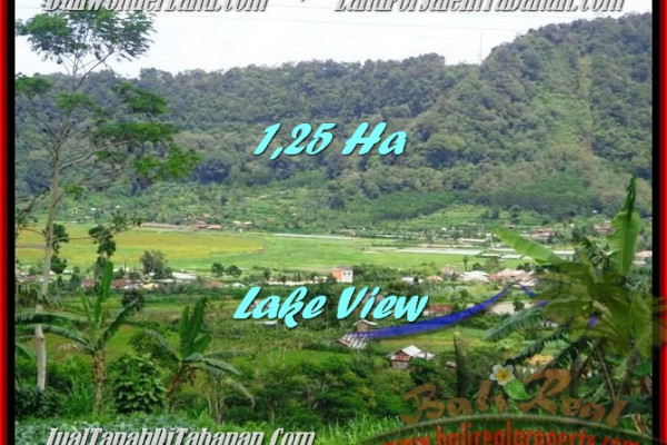 Magnificent PROPERTY TABANAN LAND FOR SALE
