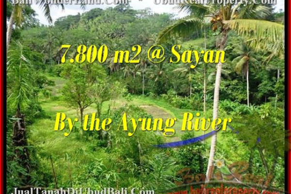 FOR SALE Magnificent 7,800 m2 LAND IN UBUD TJUB472