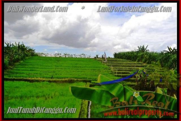 Exotic LAND IN Canggu Pererenan FOR SALE TJCG141