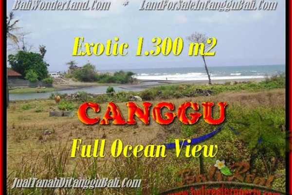 Beautiful LAND SALE IN Canggu Pererenan TJCG162