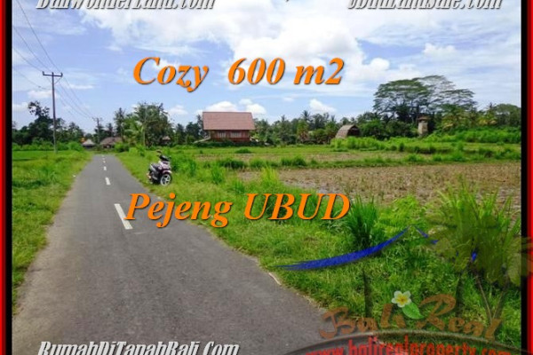 FOR SALE LAND IN Ubud Pejeng TJUB465