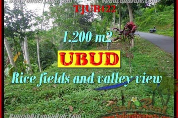 1,200 m2 LAND IN UBUD FOR SALE TJUB422