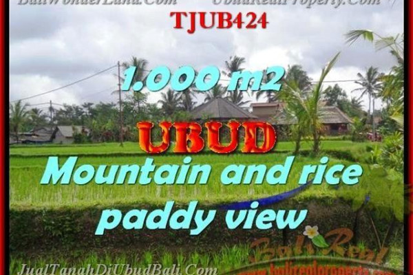 Beautiful PROPERTY UBUD LAND FOR SALE TJUB424