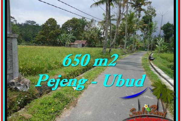 LAND SALE IN Ubud Tampak Siring BALI TJUB522