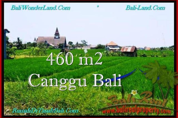 Magnificent PROPERTY LAND IN Canggu Brawa BALI FOR SALE TJCG195