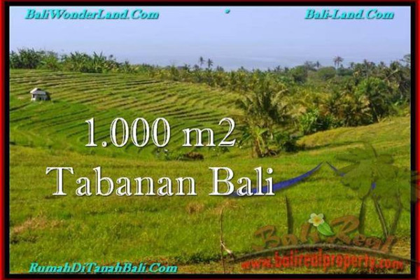 Beautiful PROPERTY Tabanan Selemadeg 1,000 m2 LAND FOR SALE TJTB237