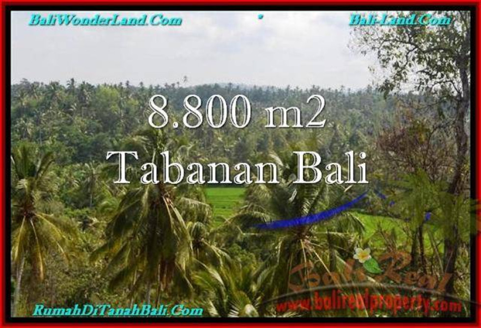 FOR SALE Exotic LAND IN Tabanan Selemadeg BALI TJTB238