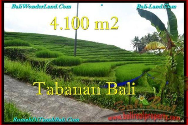 Magnificent PROPERTY LAND IN TABANAN FOR SALE TJTB239