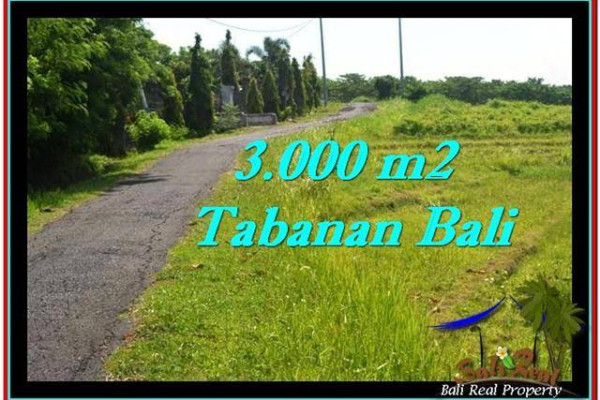 FOR SALE Beautiful LAND IN Tabanan Selemadeg BALI TJTB246