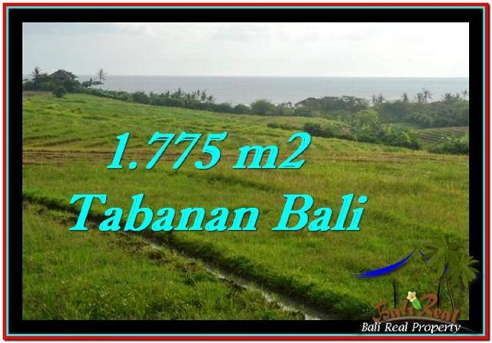 FOR SALE Beautiful PROPERTY LAND IN TABANAN TJTB251