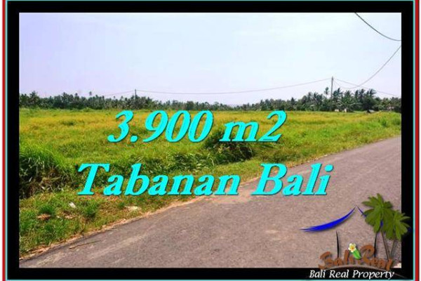 Beautiful PROPERTY TABANAN LAND FOR SALE TJTB258
