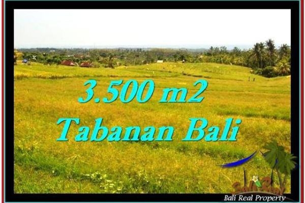 3,500 m2 LAND SALE IN TABANAN TJTB259