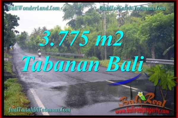 Beautiful PROPERTY 3,775 m2 LAND FOR SALE IN Tabanan Selemadeg TJTB271