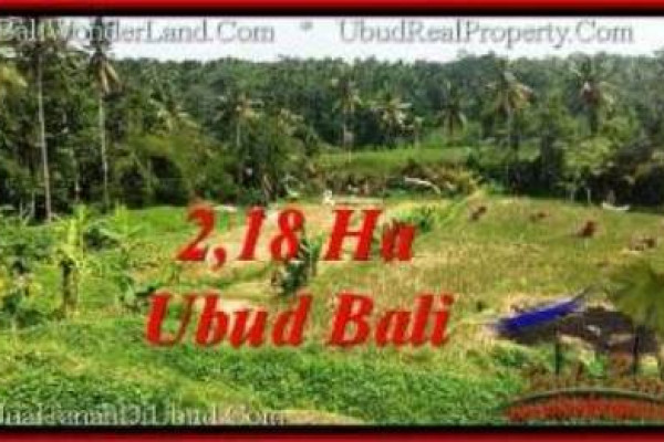 Beautiful PROPERTY LAND IN UBUD BALI FOR SALE TJUB546