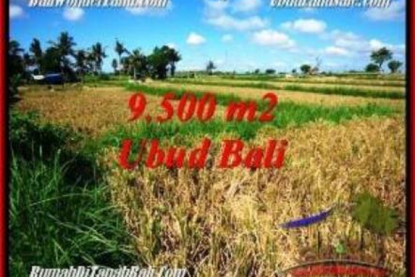 FOR SALE Beautiful PROPERTY LAND IN UBUD BALI TJUB548