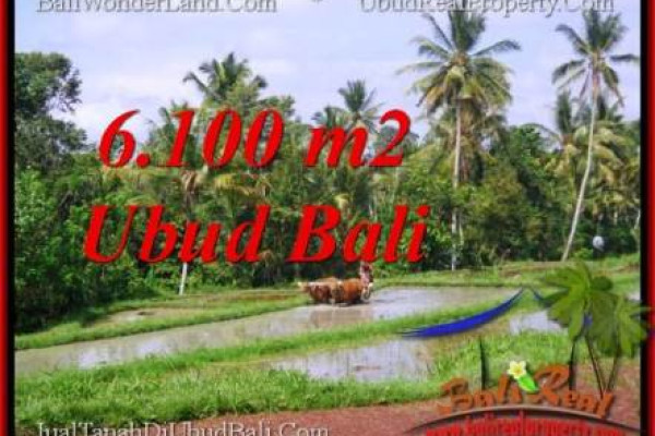 Exotic 6,100 m2 LAND IN UBUD BALI FOR SALE TJUB552