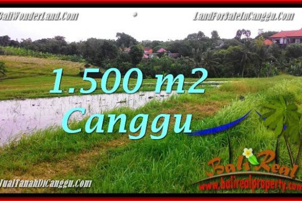 FOR SALE Magnificent PROPERTY LAND IN Canggu Batu Bolong BALI TJCG198