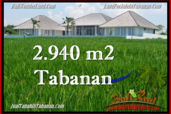 Magnificent PROPERTY 2,940 m2 LAND IN Tabanan Selemadeg FOR SALE TJTB265