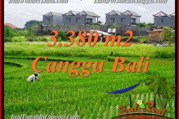 Affordable CANGGU 3,380 m2 LAND FOR SALE TJCG199