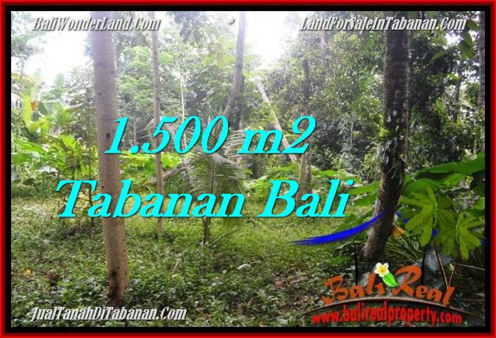 Affordable LAND SALE IN Tabanan Penebel BALI TJTB279