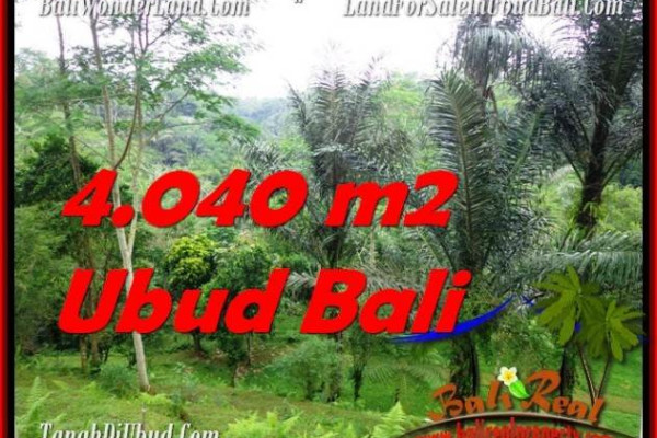 LAND IN Ubud Tegalalang BALI FOR SALE TJUB555
