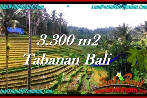 Affordable PROPERTY 3,300 m2 LAND FOR SALE IN Tabanan Selemadeg TJTB274