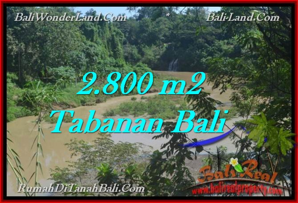 Beautiful PROPERTY 2,800 m2 LAND FOR SALE IN Tabanan Selemadeg TJTB276
