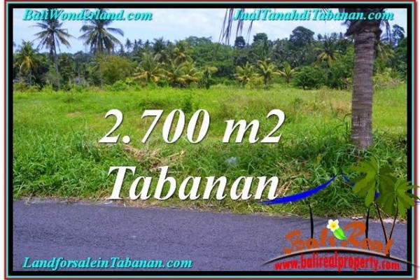 LAND IN Tabanan Kerambitan BALI FOR SALE TJTB301