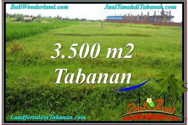 Exotic Tabanan Kerambitan BALI LAND FOR SALE TJTB302