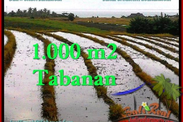 Magnificent PROPERTY TABANAN LAND FOR SALE TJTB261