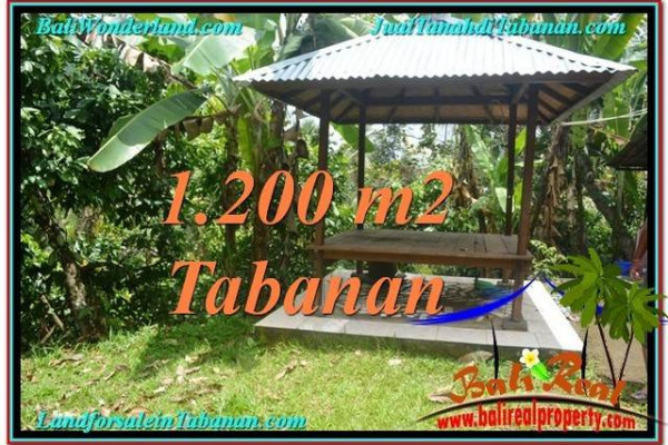 FOR SALE Beautiful LAND IN Tabanan Penebel BALI TJTB294