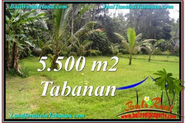Exotic PROPERTY LAND FOR SALE IN TABANAN TJTB295