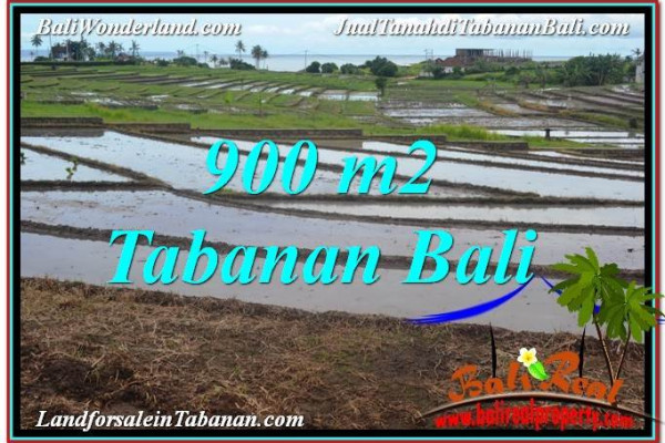 Beautiful Tabanan Selemadeg BALI LAND FOR SALE TJTB308