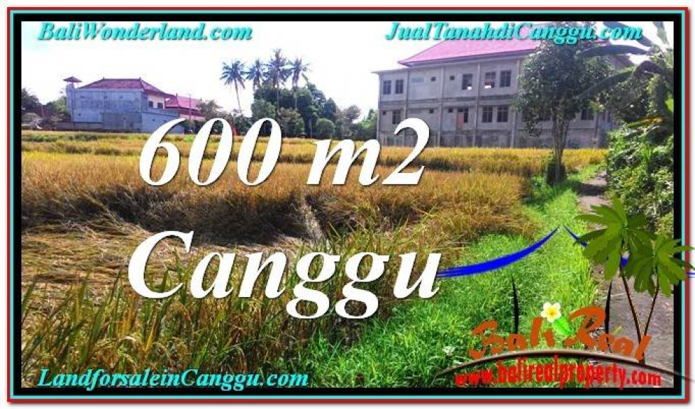 FOR SALE 600 m2 LAND IN Canggu Pererenan BALI TJCG211