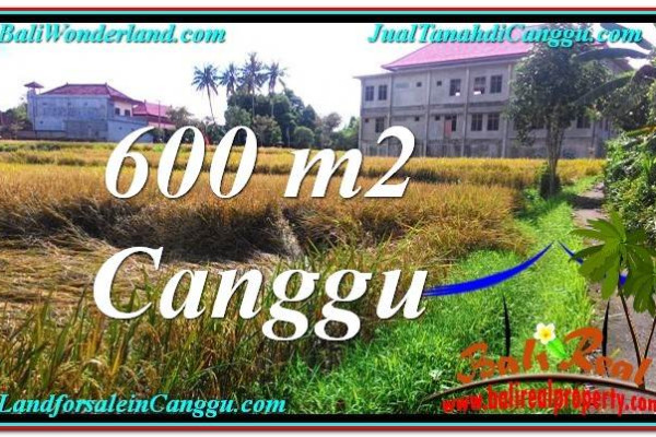 Exotic PROPERTY 600 m2 LAND IN Canggu Pererenan BALI FOR SALE TJCG211