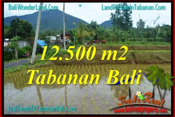 Beautiful PROPERTY LAND IN Tabanan Penebel BALI FOR SALE TJTB317
