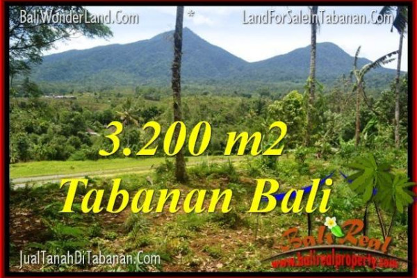Exotic TABANAN BALI LAND FOR SALE TJTB319