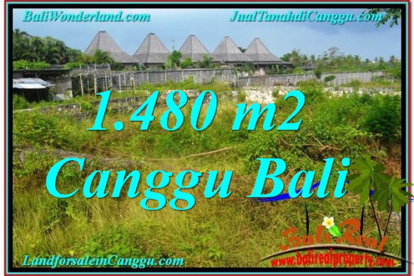 Magnificent 1,480 m2 LAND FOR SALE IN CANGGU TJCG212