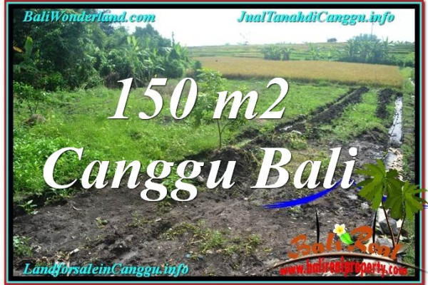 Beautiful 150 m2 LAND IN CANGGU FOR SALE TJCG213