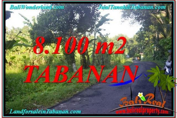 Exotic PROPERTY Tabanan Marga BALI 8,100 m2 LAND FOR SALE TJTB329