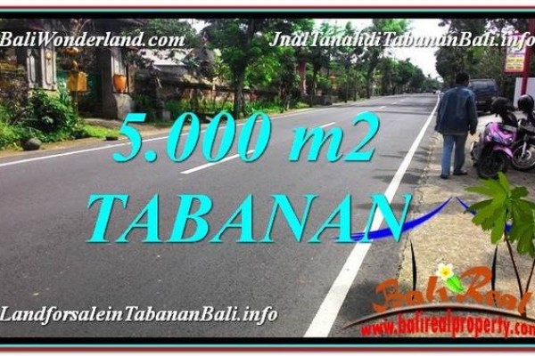Affordable PROPERTY 5,000 m2 LAND FOR SALE IN TABANAN TJTB332